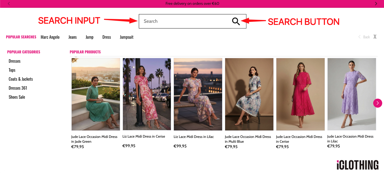 Real world example of search input